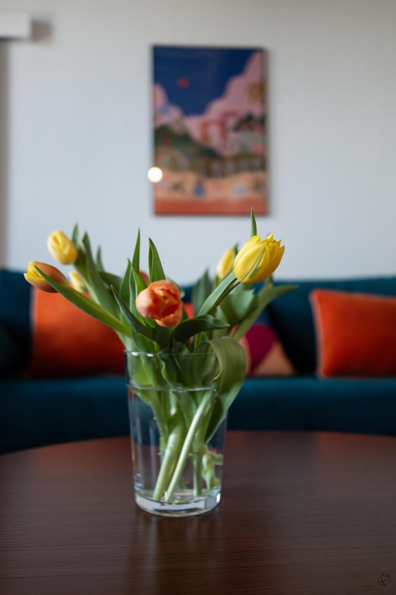 Orange Sunset Apartment Draguignan Exterior photo